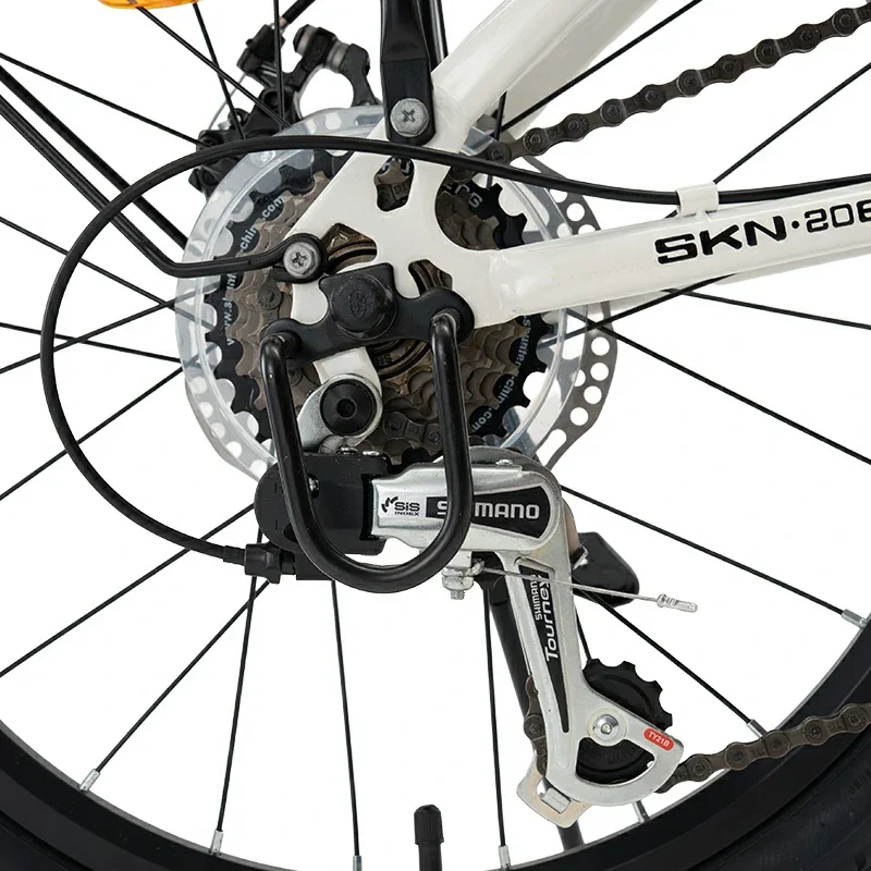 SKN - 20 Zoll - Klapprad