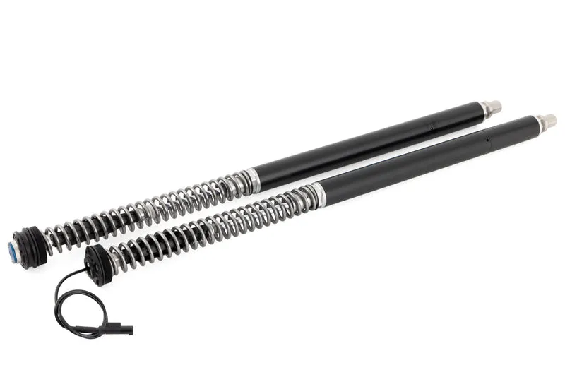 Wunderlich Suspension Cartridge eC3