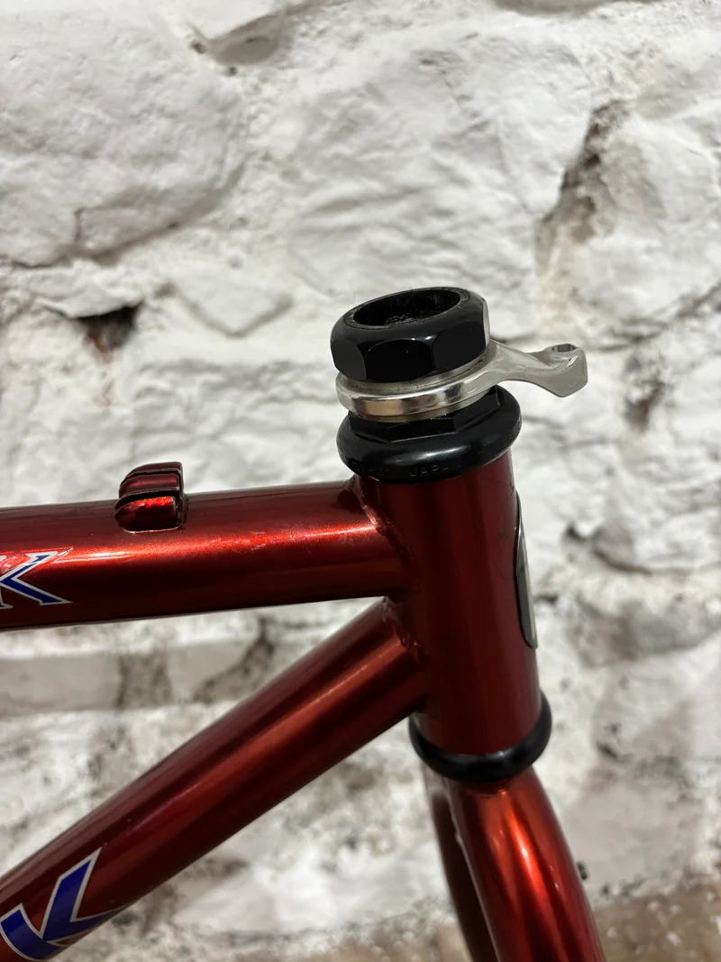 Singletrack 950