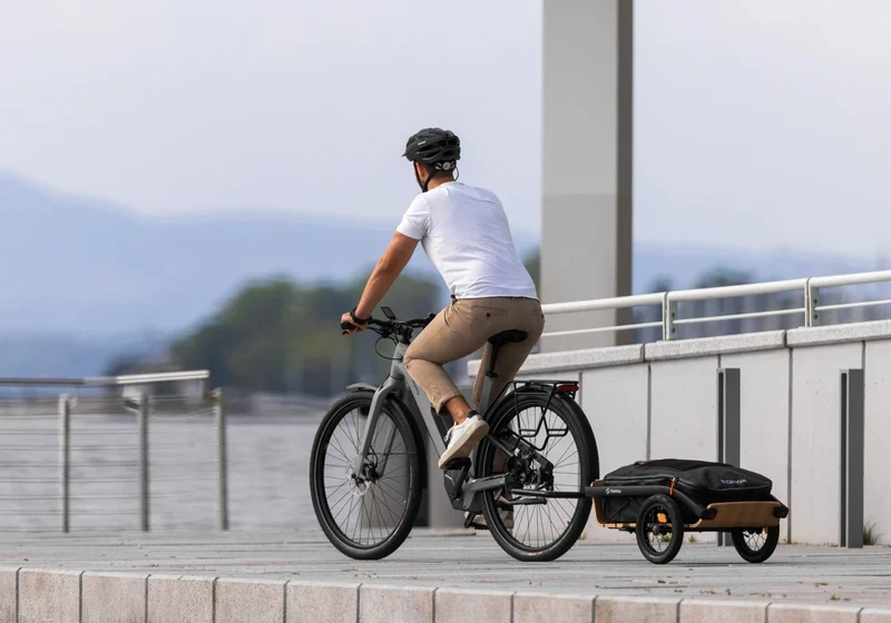 Hamax Venture | Venture Holz | Fahrradanhänger, Lastenanhänger