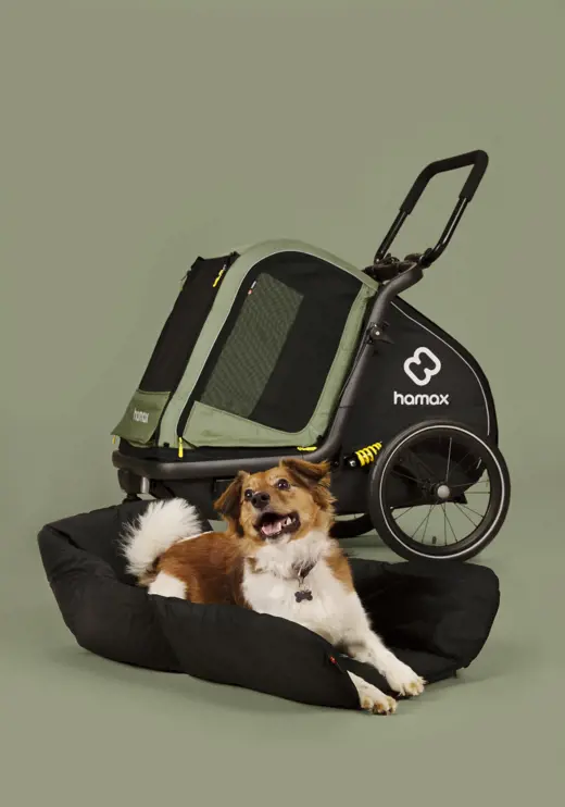 Hamax Pluto M Fahrradanhänger für Hunde
