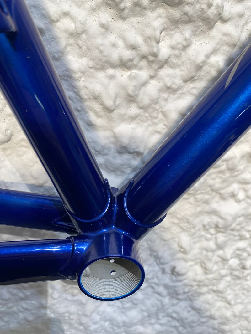 Viper frame blue with silver flames