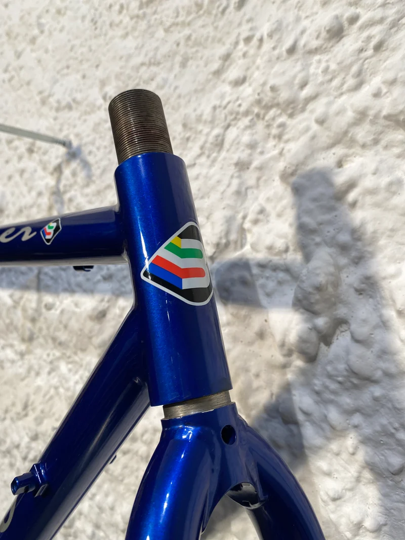 Viper frame blue with silver flames
