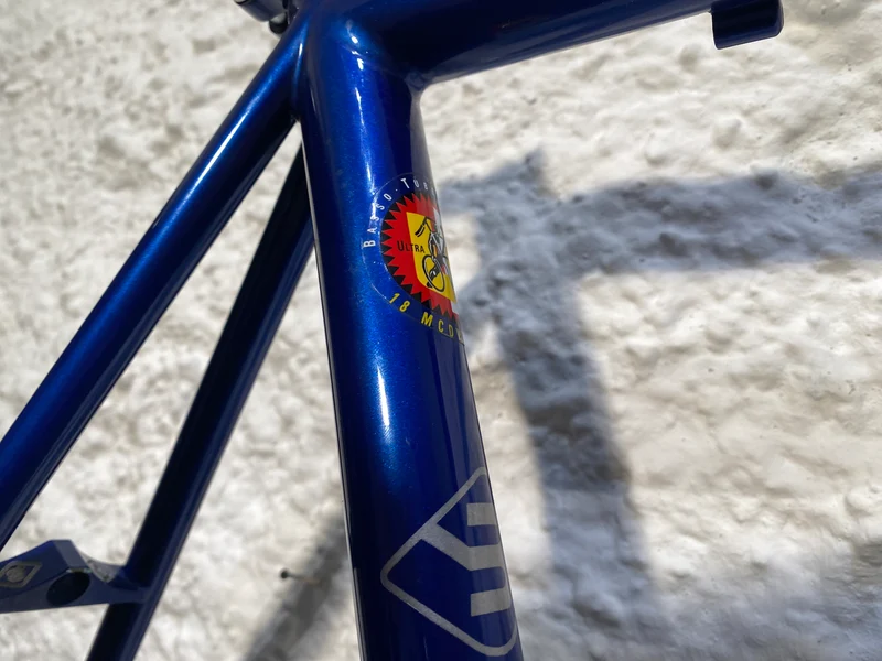 Viper frame blue with silver flames