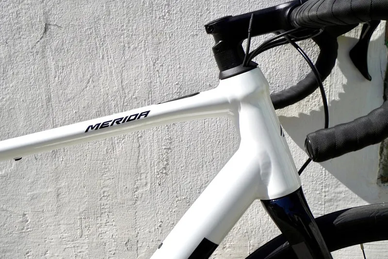 Merida eSCULTURA 400 | MAHLE X30