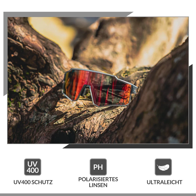 ROCKBROS Polarisatiebril Sportbril voor buitensport