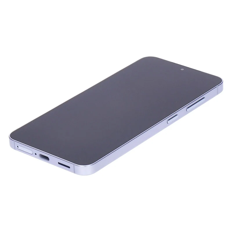 Samsung Galaxy S25 5G DS 256GB Silver Shadow
