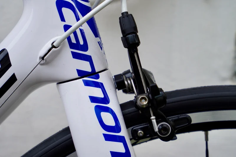 Cannondale Evo Team Replica Liquigaz