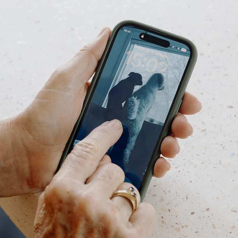 Everyday Case for iPhone 15 | Marketplace