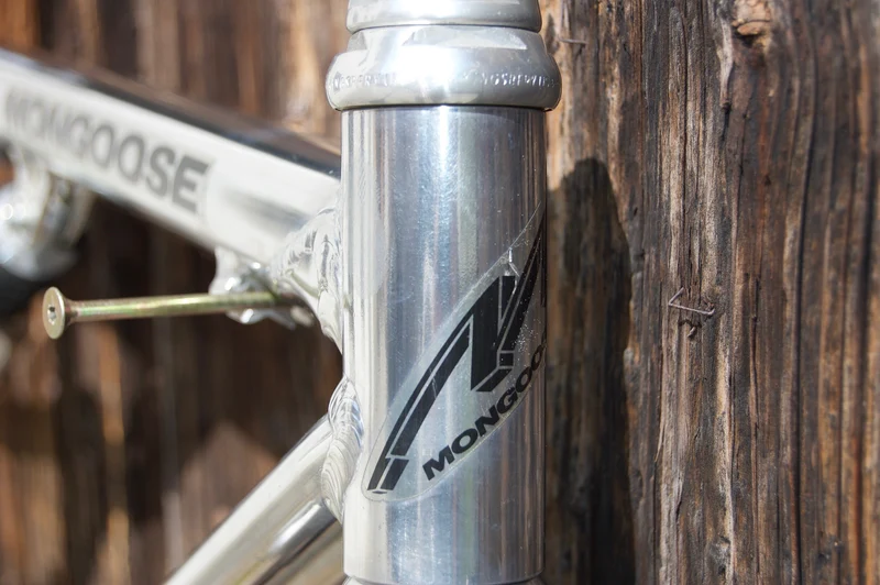 Mongoose with AMP-Fork
