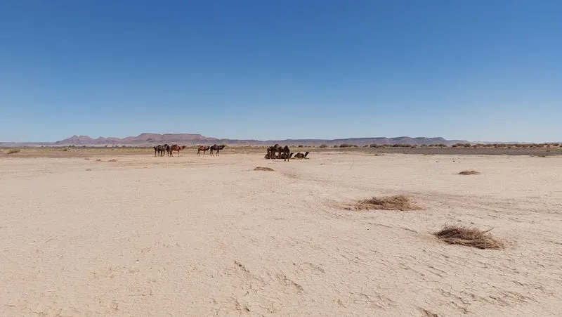 Marocco pure adventure 15-02-2027 - 01-03-2027