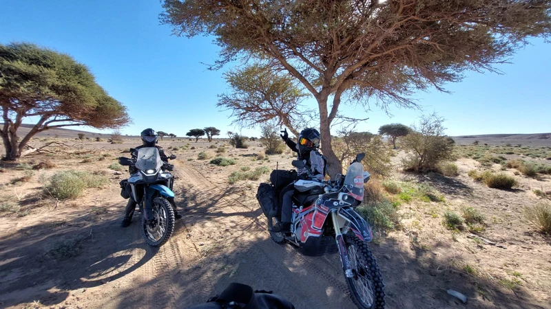 Marocco pure adventure 15-02-2027 - 01-03-2027