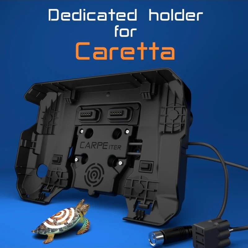 Carpe iter Caretta