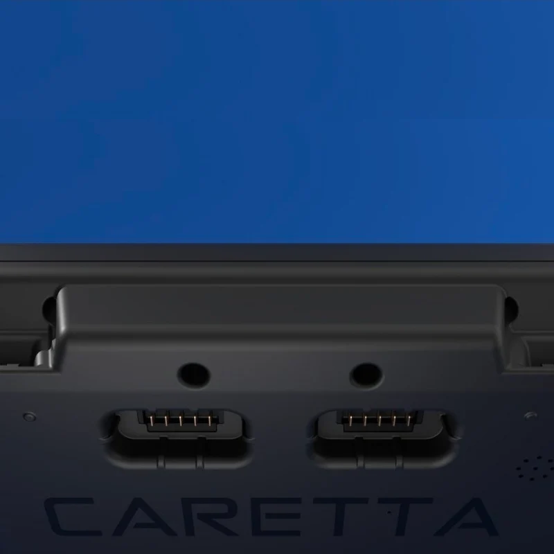 Carpe iter Caretta