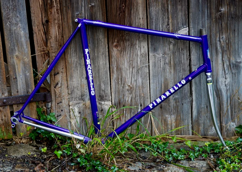 Asolo darkpurple