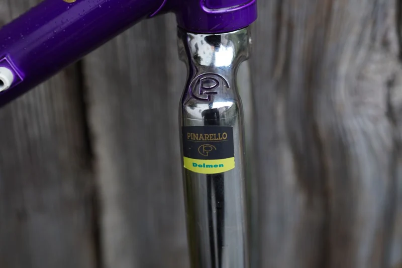 Asolo darkpurple