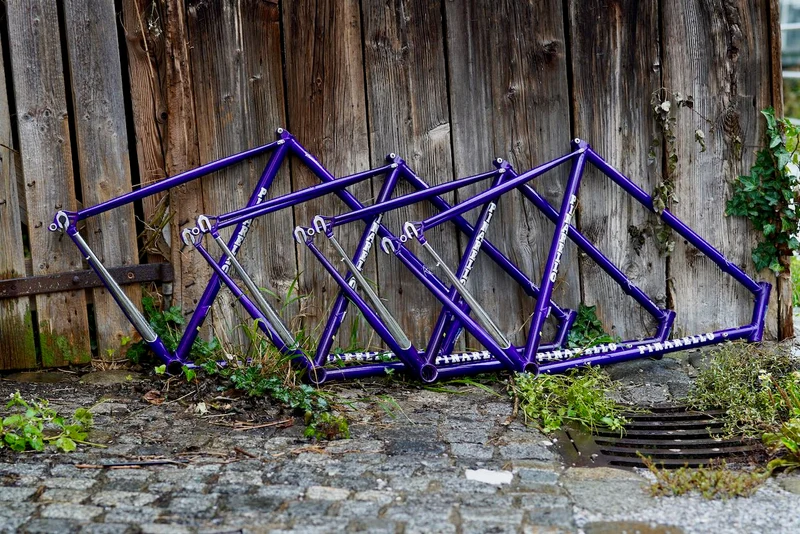 Asolo frames darkpurple
