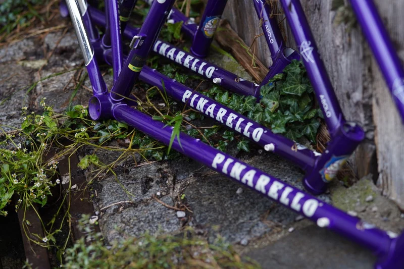 Asolo frames darkpurple