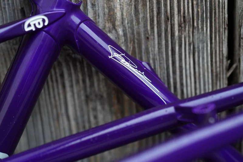 Asolo frames darkpurple