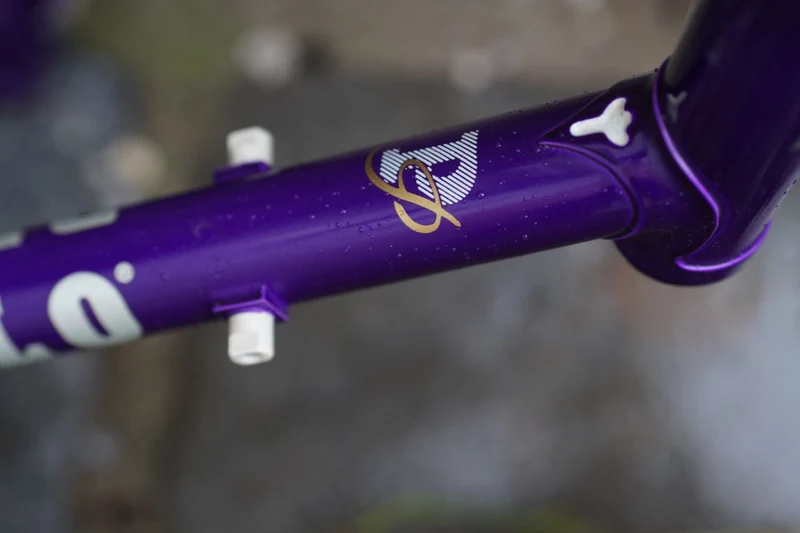 Asolo frames darkpurple