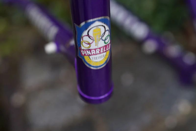 Asolo frames darkpurple