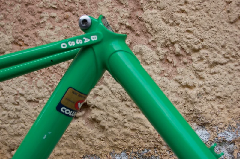 Basso Green-Pink Frame