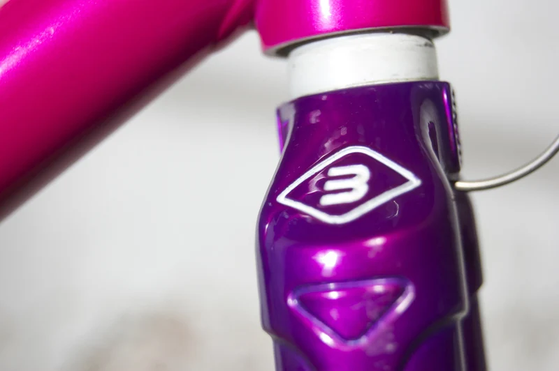 Basso Astra violet-pink frames