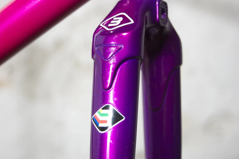 Basso Astra violet-pink frames