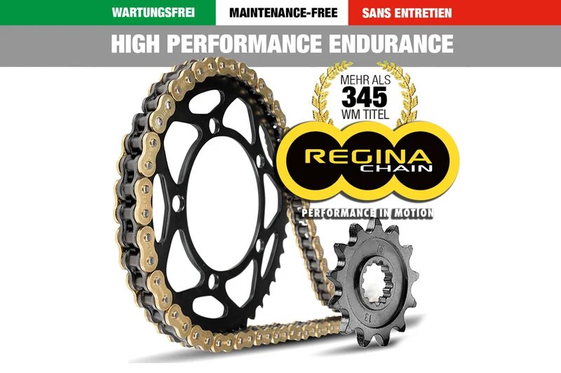 Regina HPE 525 chain kit 118 chain links