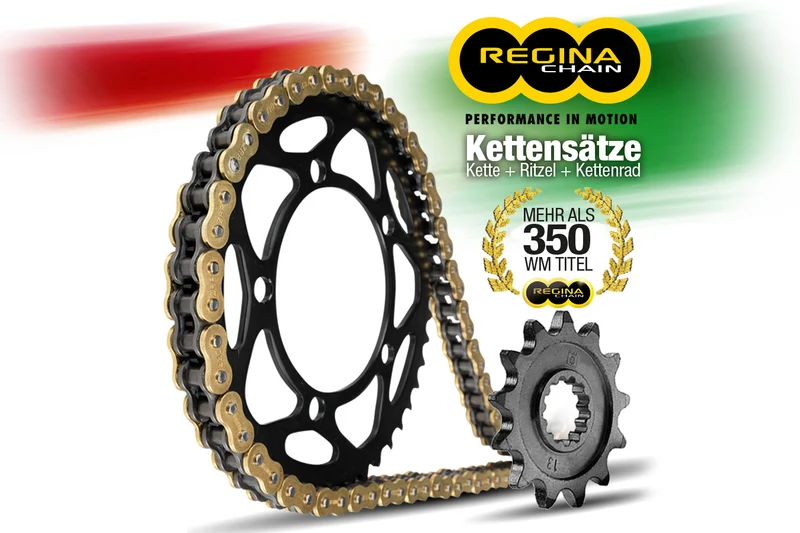 Regina ZRPO 525 chain kit with 114 chain links DesertX (Discovery)