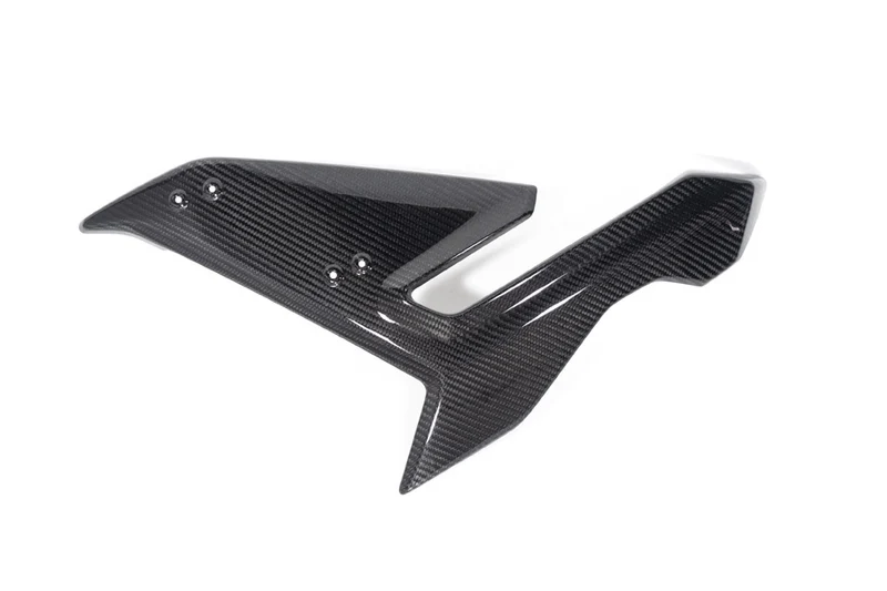 Ilmberger Side Fairing S 1000 R