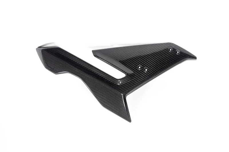 Ilmberger Side Fairing S 1000 R