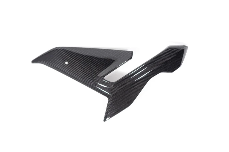 Ilmberger Side fairing M 1000 R