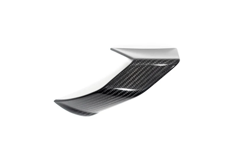 Ilmberger Faring Side Winglet S 1000 R