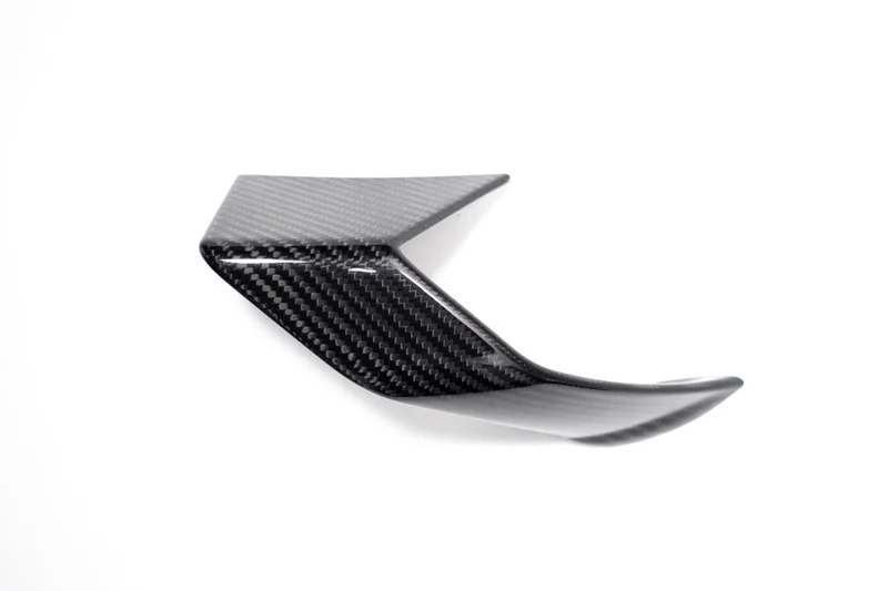 Ilmberger Faring Side Winglet S 1000 R