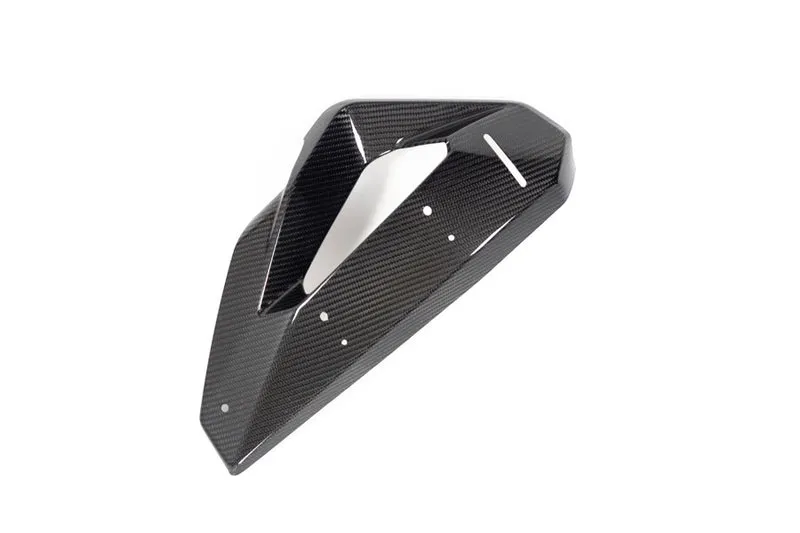 Ilmberger Cover on Radiator Fairing + Winglet Mount M 1000 XR