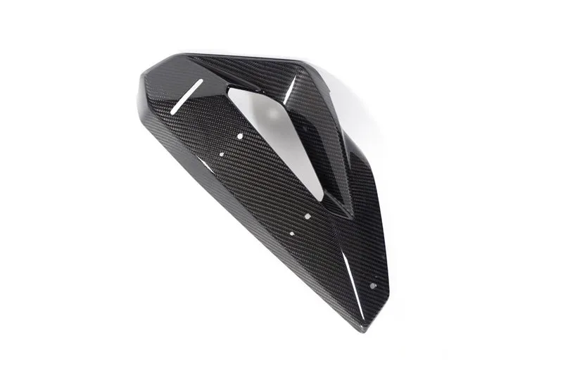 Ilmberger Cover on Radiator Fairing + Winglet Mount M 1000 XR