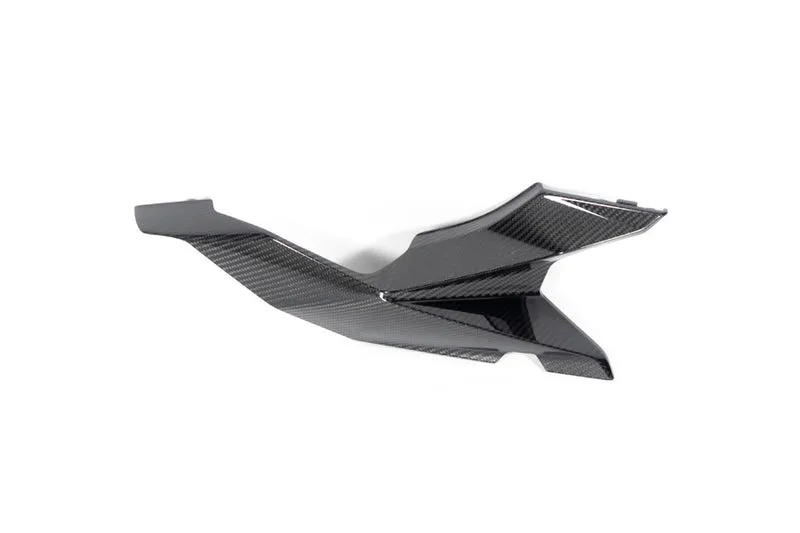 Ilmberger Rear Fairing M 1000 XR