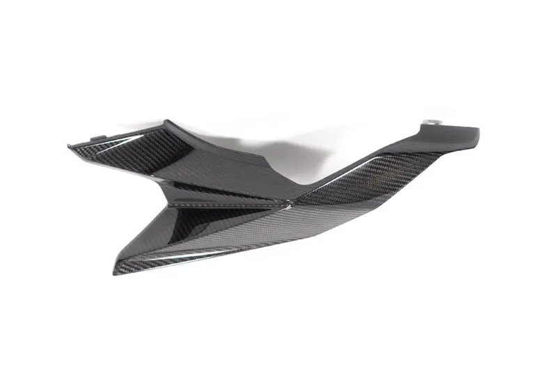 Ilmberger Rear Fairing M 1000 XR