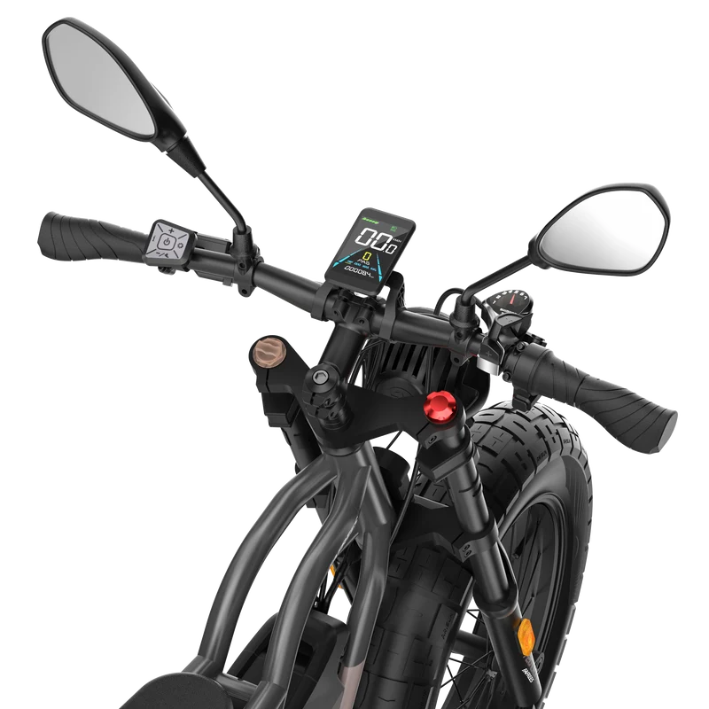 Display für E-Bike