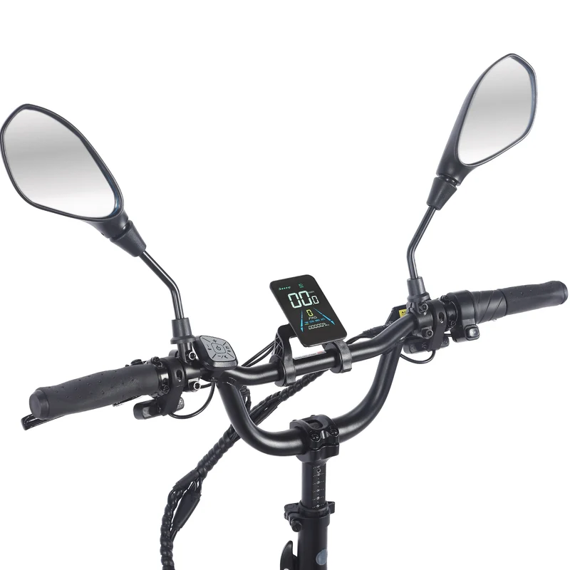 Display für E-Bike
