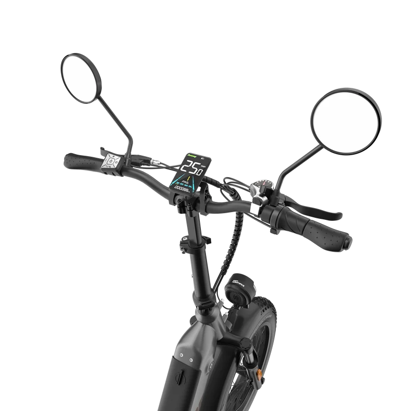 Display für E-Bike