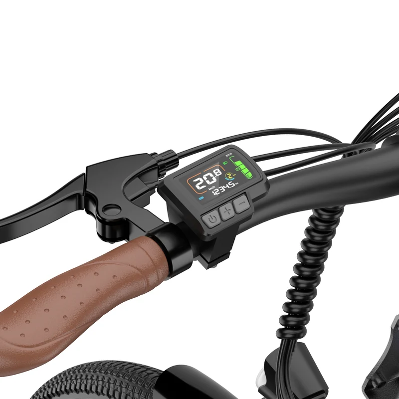 Display für E-Bike