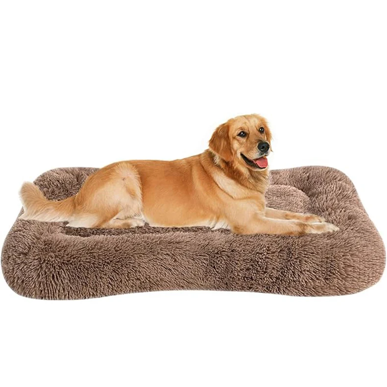 Orthopädisches, stützendes Hundebett