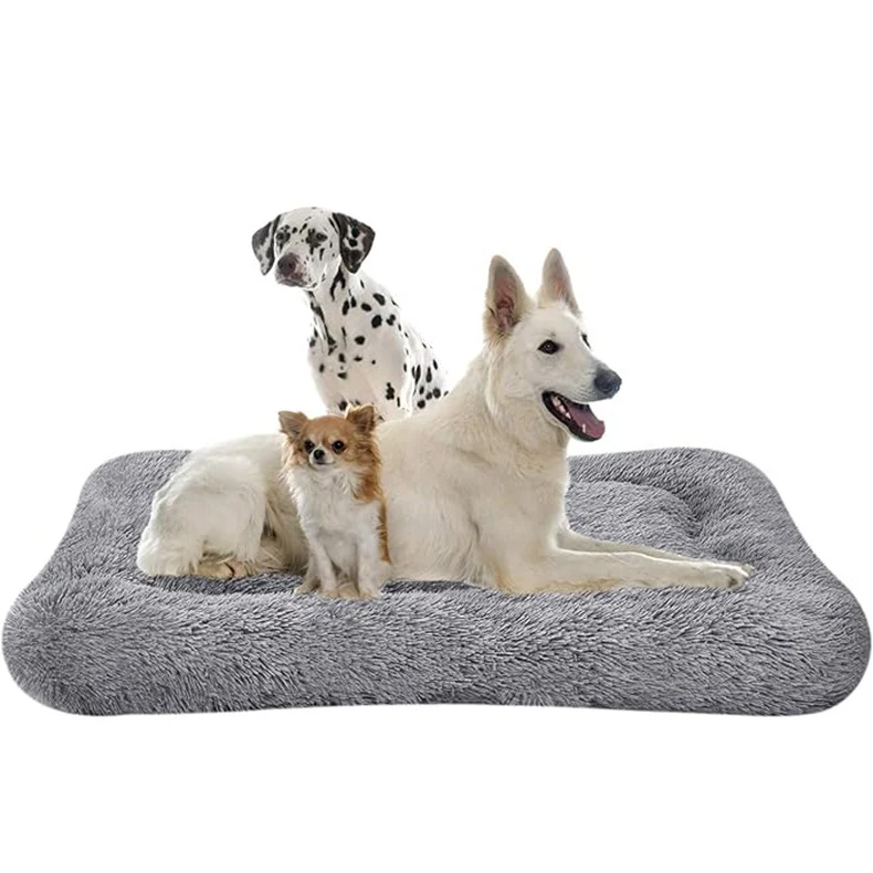 Orthopädisches, stützendes Hundebett