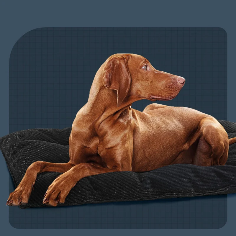 Orthopädisches Ruhekissen Hundebett