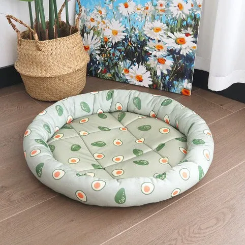 Avocado-Thema Katzensaison