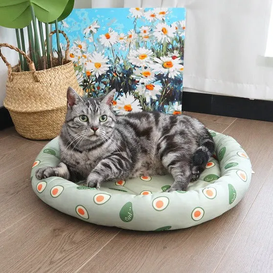 Avocado-Thema Katzensaison