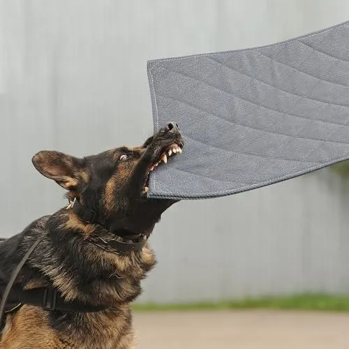 Strapazierfähige Trainingsmatte Hundebett