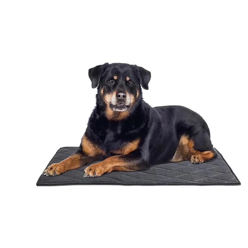 Strapazierfähige Trainingsmatte Hundebett